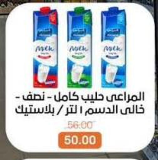 available at بيت الجملة in Egypt - القاهرة