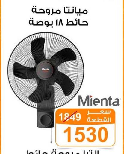 available at جملة ماركت in Egypt - القاهرة