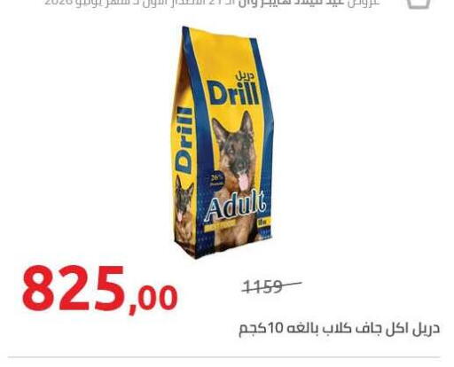available at هايبر وان in Egypt - القاهرة