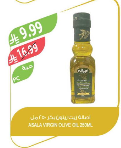 available at Farm  in KSA, Saudi Arabia, Saudi - Tabuk