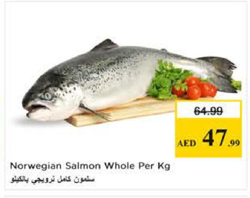 available at نستو هايبرماركت in الإمارات العربية المتحدة , الامارات - دبي