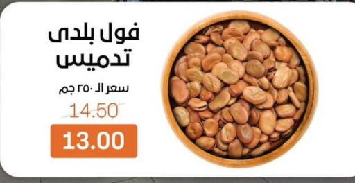 available at بيت الجملة in Egypt - القاهرة