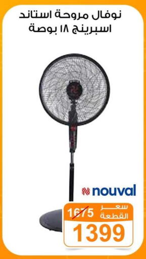 available at جملة ماركت in Egypt - القاهرة
