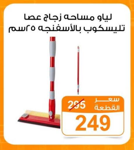 available at Gomla Market in Egypt - Cairo