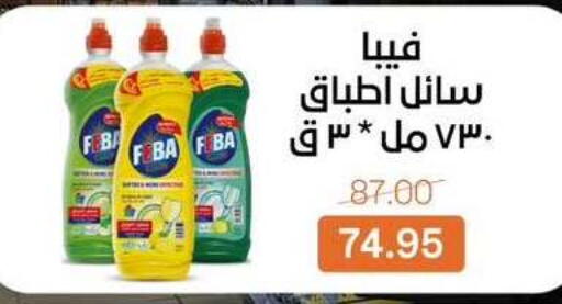 available at بيت الجملة in Egypt - القاهرة