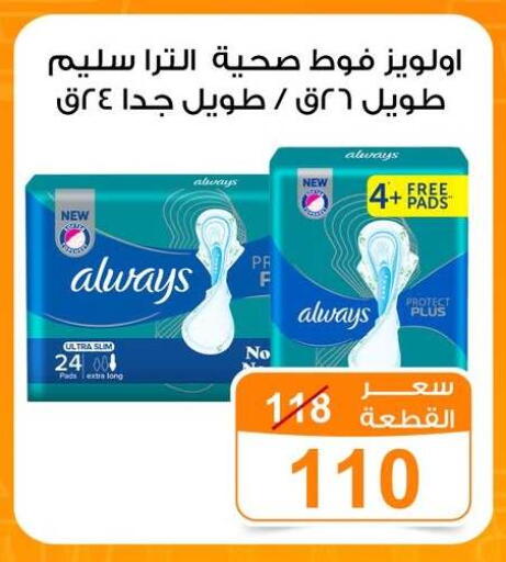 available at جملة ماركت in Egypt - القاهرة