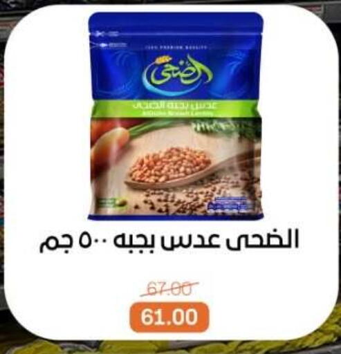 available at بيت الجملة in Egypt - القاهرة