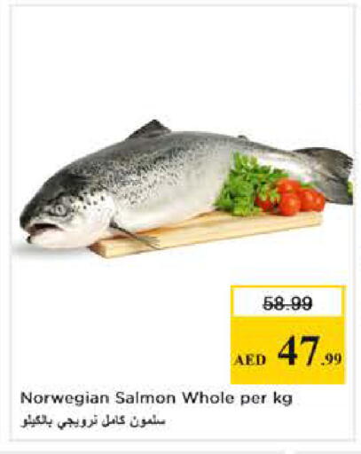 available at Nesto Hypermarket in UAE - Abu Dhabi