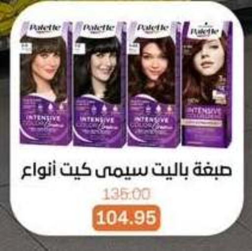 available at بيت الجملة in Egypt - القاهرة