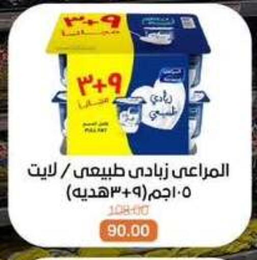 available at بيت الجملة in Egypt - القاهرة
