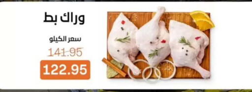 available at بيت الجملة in Egypt - القاهرة