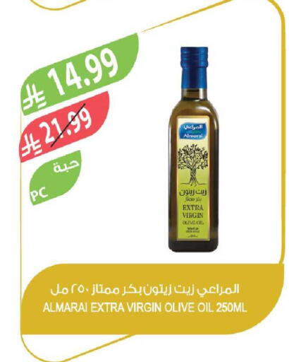 available at Farm  in KSA, Saudi Arabia, Saudi - Tabuk