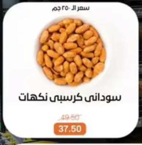 available at Beit El Gomla in Egypt - Cairo
