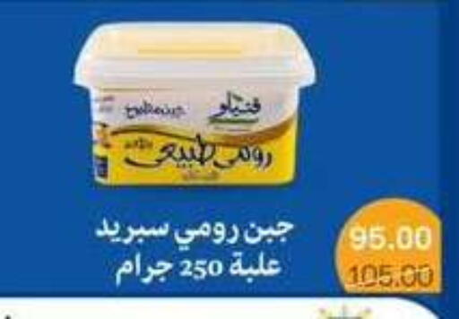 available at بيت الجملة in Egypt - القاهرة