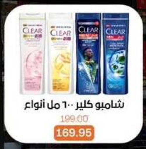 available at بيت الجملة in Egypt - القاهرة