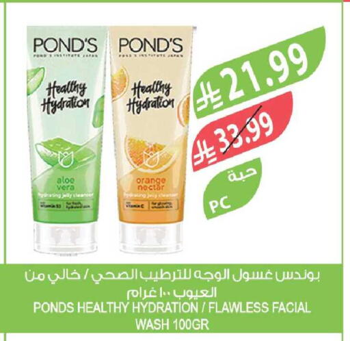 Orange available at المزرعة in مملكة العربية السعودية, السعودية, سعودية - جازان