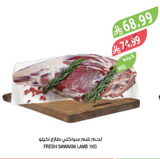 available at Farm  in KSA, Saudi Arabia, Saudi - Tabuk