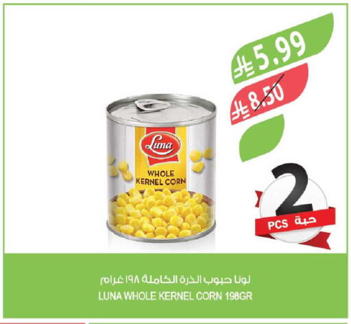 available at Farm  in KSA, Saudi Arabia, Saudi - Al-Kharj