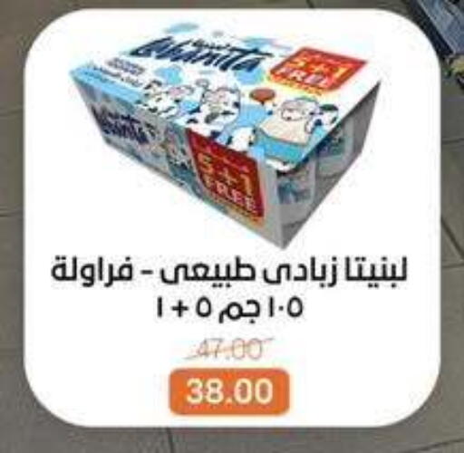 available at بيت الجملة in Egypt - القاهرة