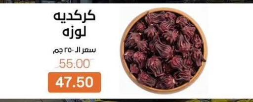 available at بيت الجملة in Egypt - القاهرة