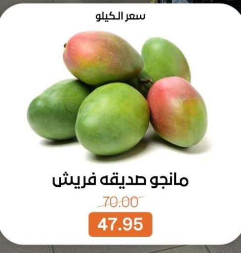 available at Beit El Gomla in Egypt - Cairo