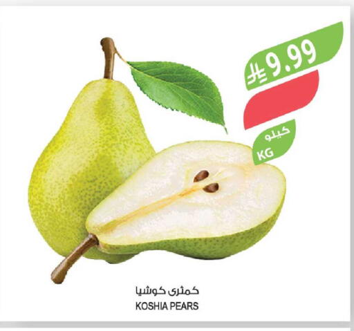 available at Farm  in KSA, Saudi Arabia, Saudi - Tabuk