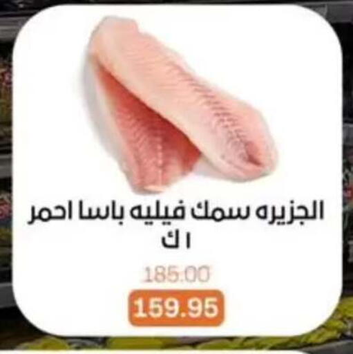 available at بيت الجملة in Egypt - القاهرة