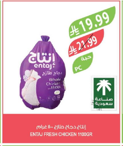 available at Farm  in KSA, Saudi Arabia, Saudi - Tabuk