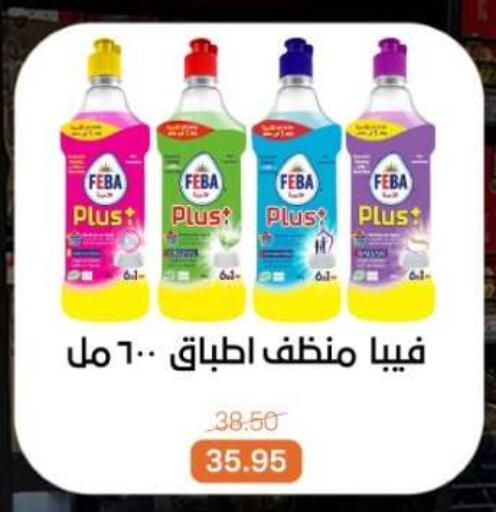 available at بيت الجملة in Egypt - القاهرة