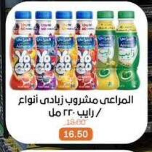 available at بيت الجملة in Egypt - القاهرة