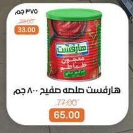 available at بيت الجملة in Egypt - القاهرة