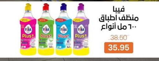 available at بيت الجملة in Egypt - القاهرة