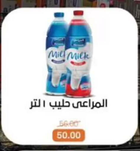 available at بيت الجملة in Egypt - القاهرة