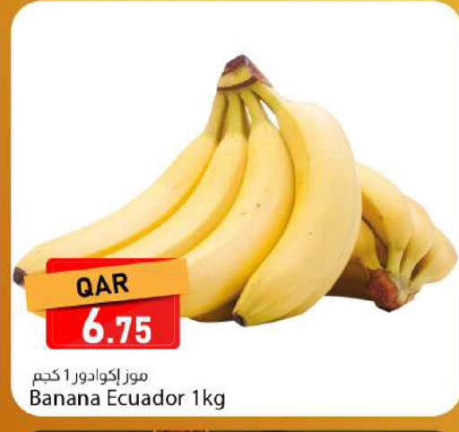 Banana from Ecuador available at Dana Market in Qatar - Doha