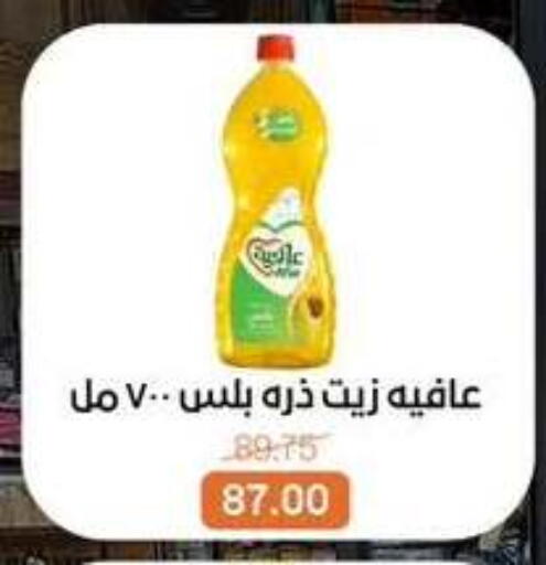 available at بيت الجملة in Egypt - القاهرة
