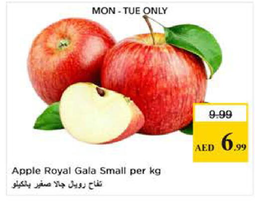 Apple available at نستو هايبرماركت in الإمارات العربية المتحدة , الامارات - دبي