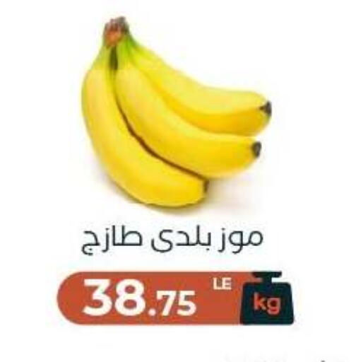 available at Arafa Market in Egypt - Cairo