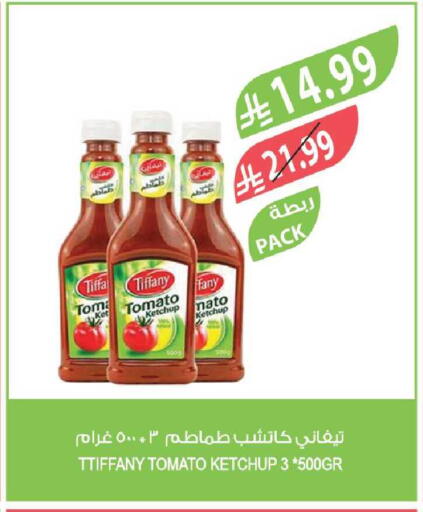 Tomato available at Farm  in KSA, Saudi Arabia, Saudi - Tabuk