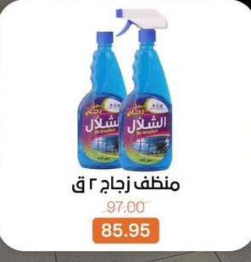 available at بيت الجملة in Egypt - القاهرة