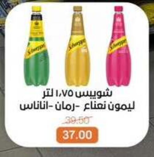 available at بيت الجملة in Egypt - القاهرة