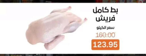 available at Beit El Gomla in Egypt - Cairo
