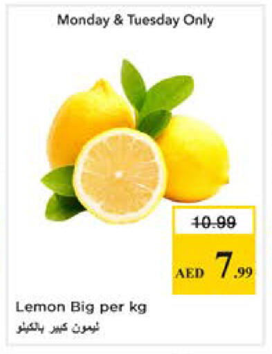 Lemon available at نستو هايبرماركت in الإمارات العربية المتحدة , الامارات - دبي