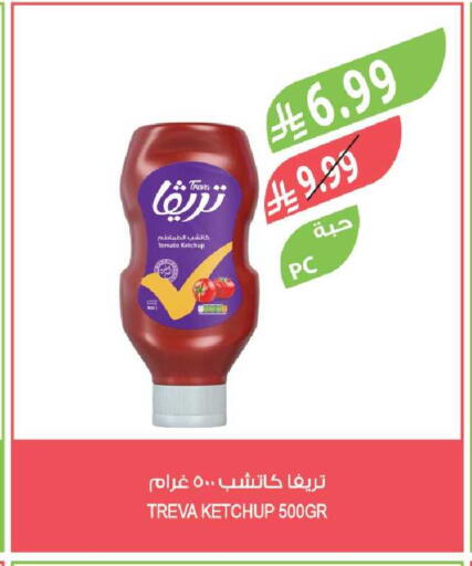Tomato available at Farm  in KSA, Saudi Arabia, Saudi - Al-Kharj
