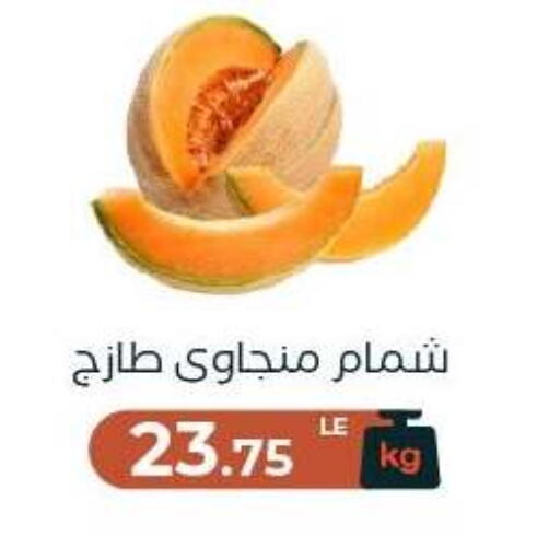 available at Arafa Market in Egypt - Cairo