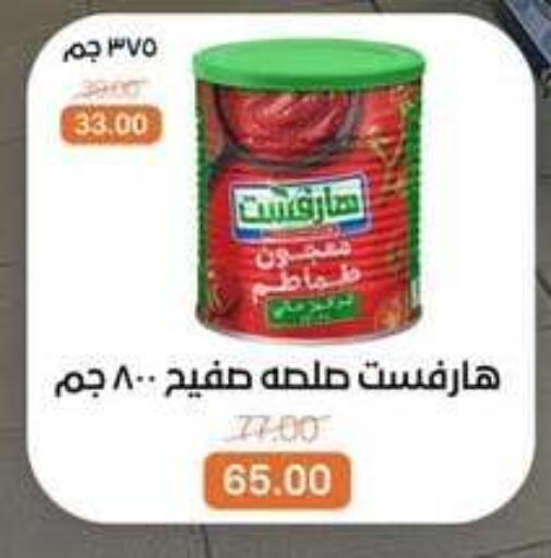 available at بيت الجملة in Egypt - القاهرة