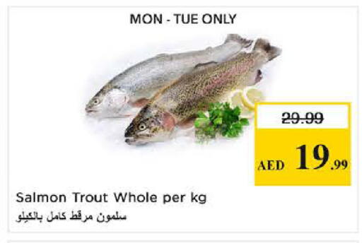 available at نستو هايبرماركت in الإمارات العربية المتحدة , الامارات - دبي