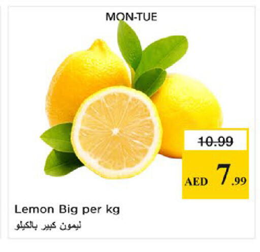 Lemon available at نستو هايبرماركت in الإمارات العربية المتحدة , الامارات - دبي