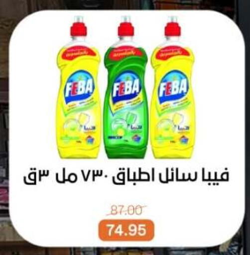 available at بيت الجملة in Egypt - القاهرة