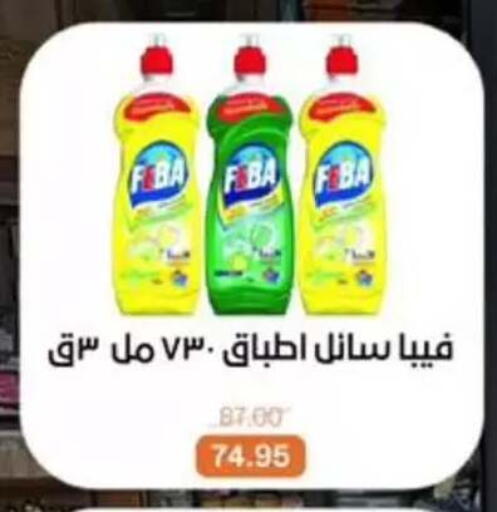 available at بيت الجملة in Egypt - القاهرة