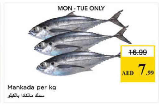 available at نستو هايبرماركت in الإمارات العربية المتحدة , الامارات - دبي